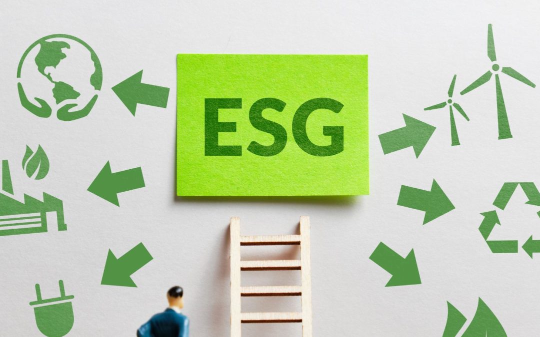 Esg Reporting: Transparency As A Strategic Asset