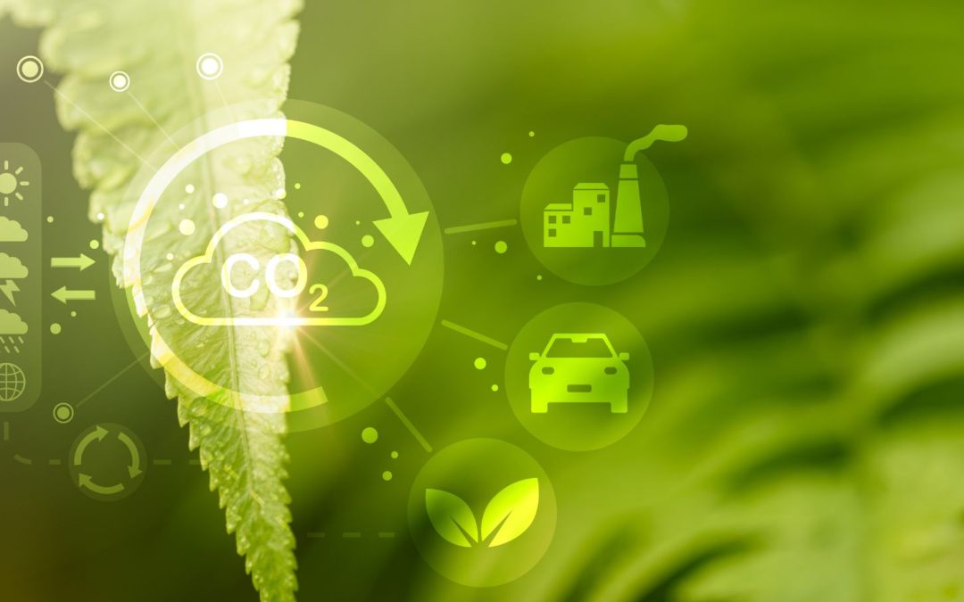 Carb4green: Technology Supporting Climate Action In Cities And Organisations