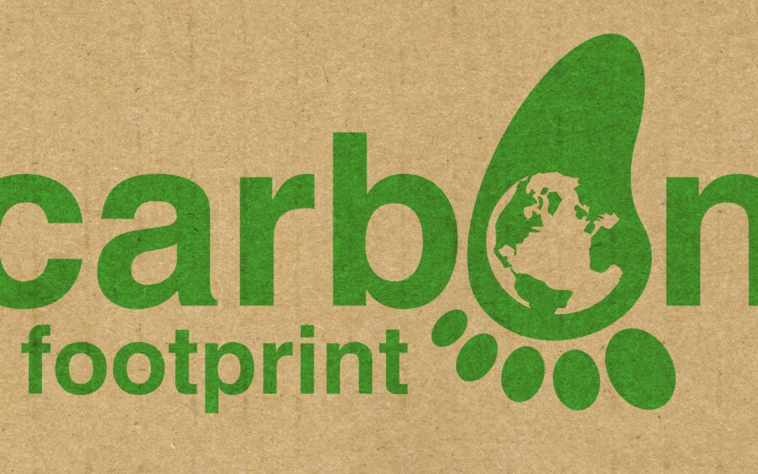 Understanding Carbon Footprint: From Measurement To Reduction