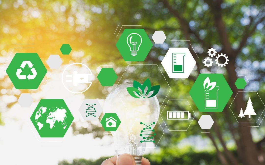 Sustainability As A Driver Of Long-term Value