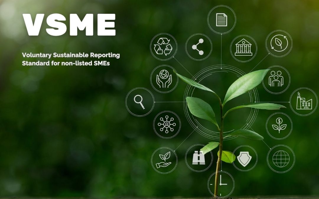 VSME: a oportunidade estratégica que as PME não podem ignorar no ESG