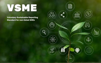 VSME: a oportunidade estratégica que as PME não podem ignorar no ESG